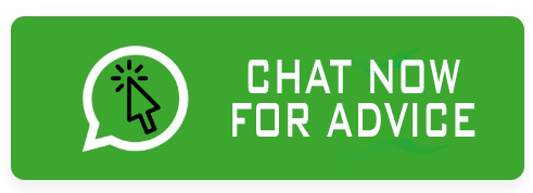 Chat Now whats app