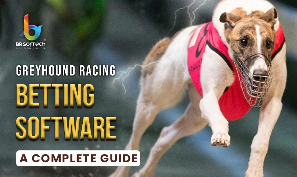 Greyhound- Racing Platform- A Detailed Guide